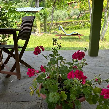 Casa Verde Country House มอนเตสกูดาโย ภายนอก รูปภาพ
