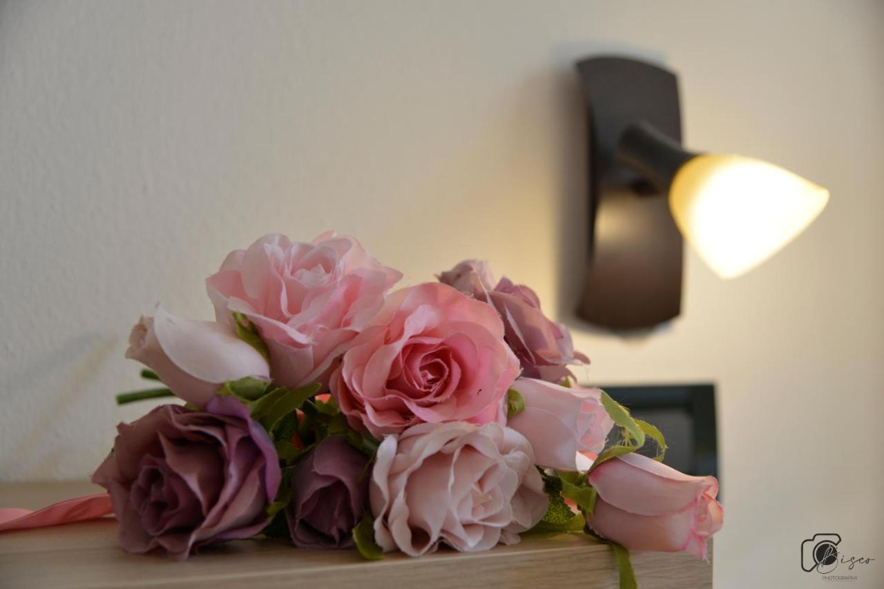Casa Verde Country House มอนเตสกูดาโย ภายนอก รูปภาพ